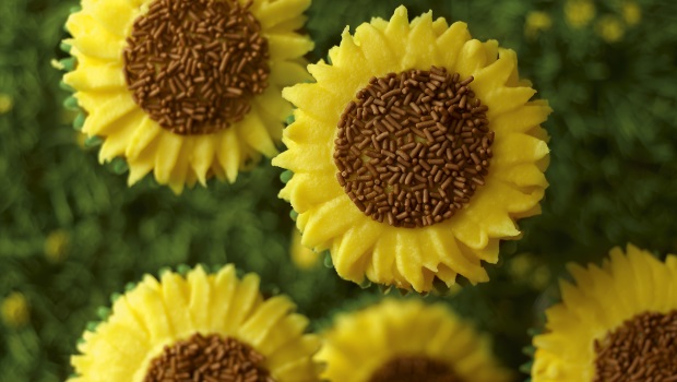 Sunflower Cupcakes Recipe