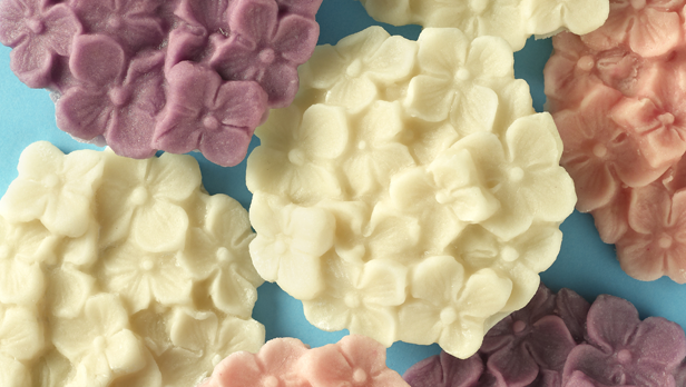 Access exclusive hints and tips from Renshaw: Marzipan Flowers