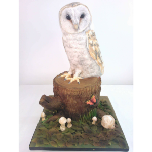 Barn Owl Cake